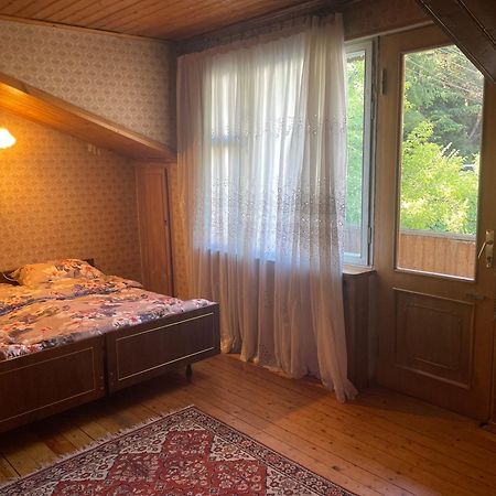 Guest House Raisa ディリジャン エクステリア 写真